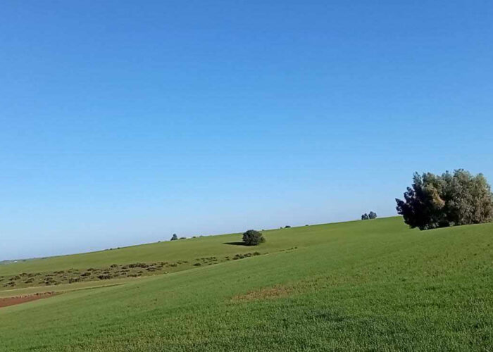 Terrain à  vendre Rabat zair