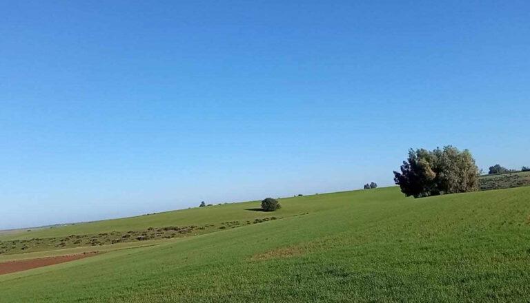 Terrain à  vendre Rabat zair
